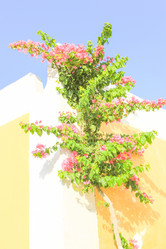 Similar image 7597758