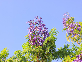 Similar image 7597759