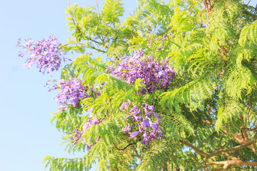 Similar image 7597760