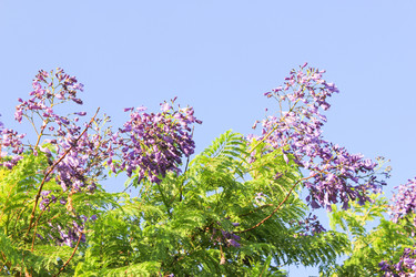 Similar image 7597761