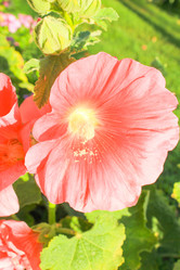 Similar image 7597772