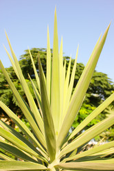 Similar image 7597774