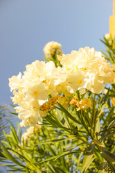 Similar image 7597775