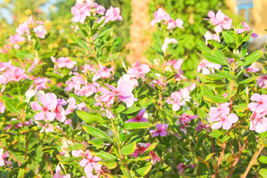 Similar image 7597777