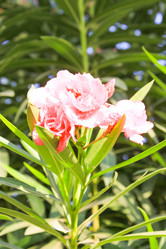 Similar image 7597781