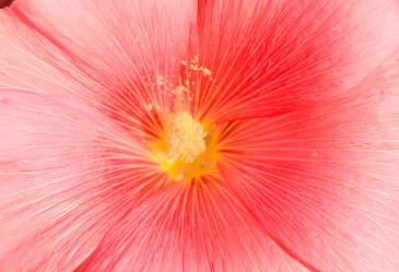 Similar image 7597784