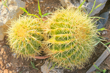 Similar image 7597790