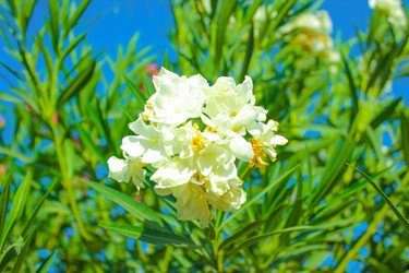 Similar image 7597791