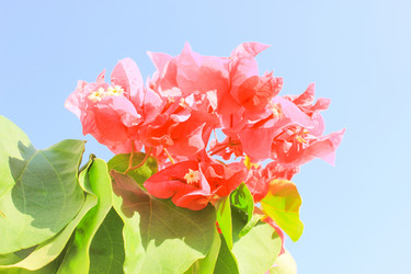 Similar image 7597793