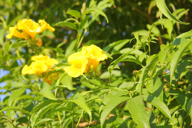 Similar image 7597794