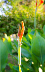 Similar image 7597799