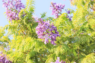 Similar image 7597804