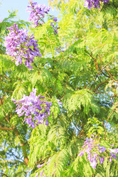 Similar image 7597806