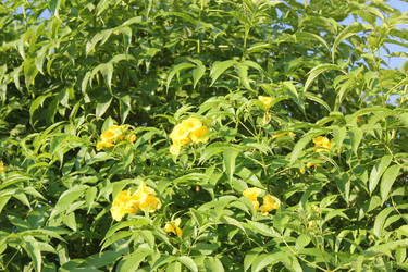 Similar image 7597839