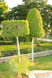 Similar image 7597847