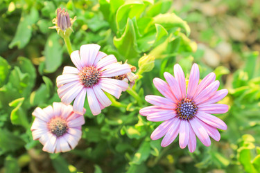 Similar image 7597852