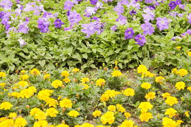 Similar image 7597857