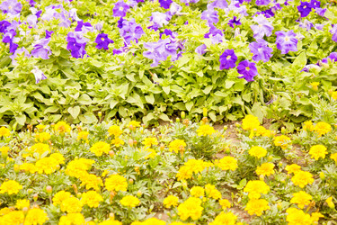 Similar image 7597858