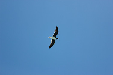 Similar image 7597876