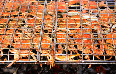 Similar image 7597885