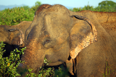 Similar image 7598180