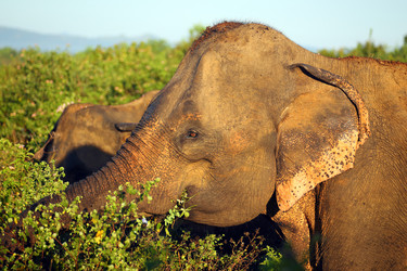 Similar image 7598181