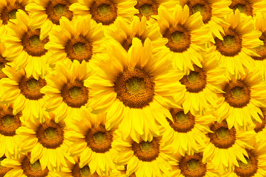 Similar image 7598384