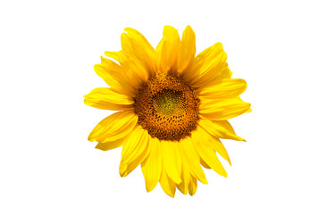 Similar image 7598386