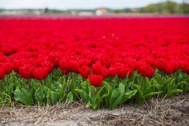 Similar image 7598442