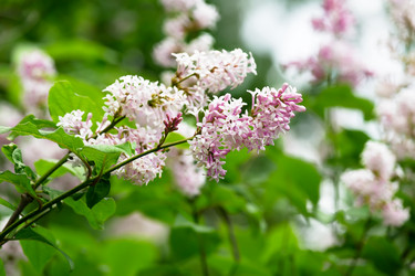 Similar image 7598533