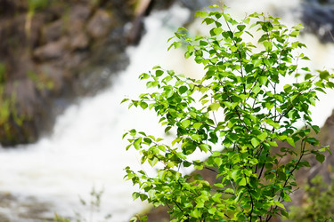 Similar image 7598534