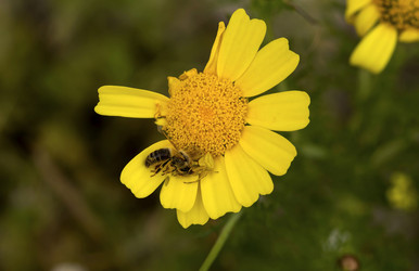 Similar image 7599483