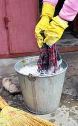 Similar image 7599488