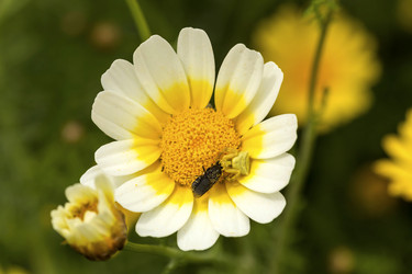 Similar image 7599506