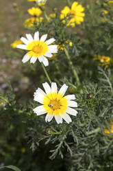 Similar image 7599507