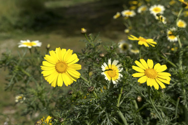 Similar image 7599508