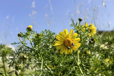 Similar image 7599509