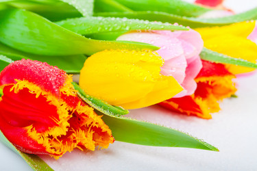 Similar image 7599551