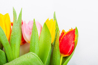 Similar image 7599554