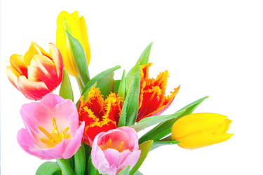 Similar image 7599556