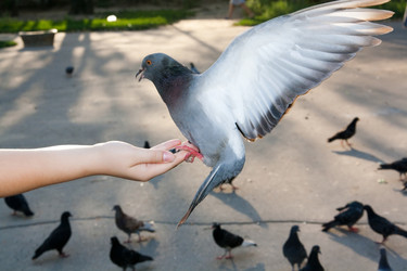 Similar image 7599742