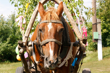 Similar image 7599745