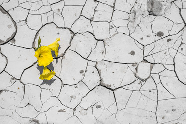 Similar image 7599785