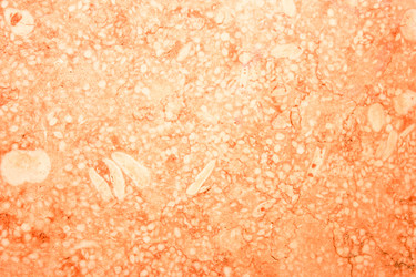 Similar image 7600013