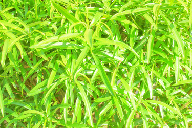 Similar image 7600016