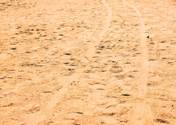 Similar image 7600018