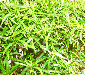 Similar image 7600020