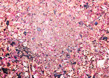 Similar image 7600033