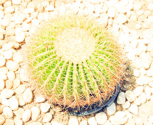 Similar image 7600043