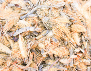 Similar image 7600045